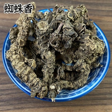 批发现货蜘蛛香马蹄香土细辛心叶缬草养心莲中药材