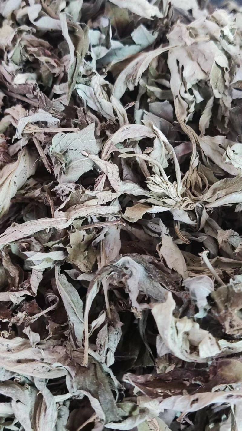【推荐】干艾叶10斤一件代发
