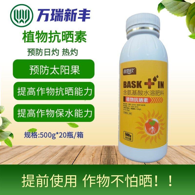 植物抗晒素柑橘辣椒预防日灼热灼病太阳果降温防晒耐高温