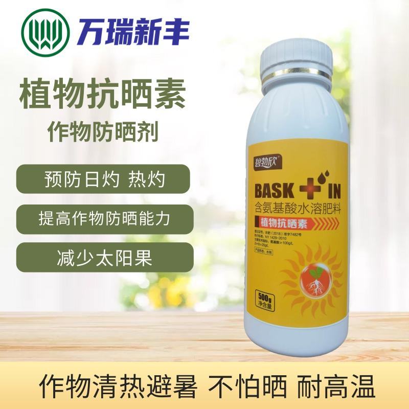植物抗晒素柑橘辣椒预防日灼热灼病太阳果降温防晒耐高温