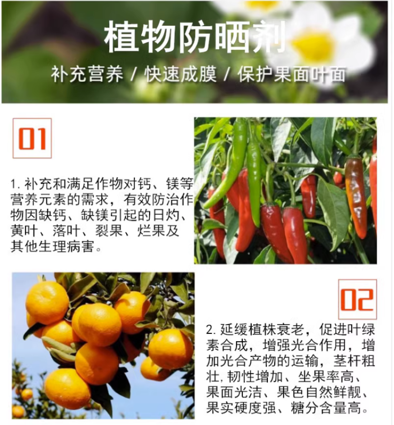 植物抗晒素柑橘辣椒预防日灼热灼病太阳果降温防晒耐高温