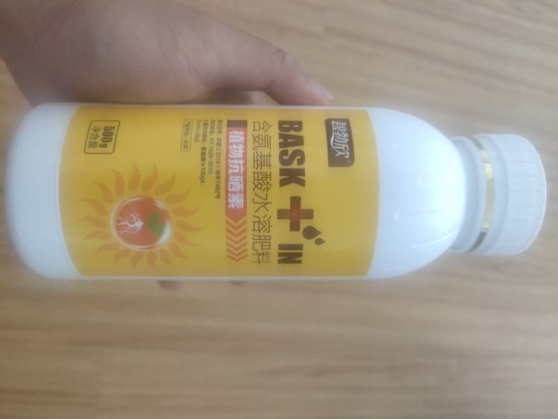 植物抗晒素柑橘辣椒预防日灼热灼病太阳果降温防晒耐高温