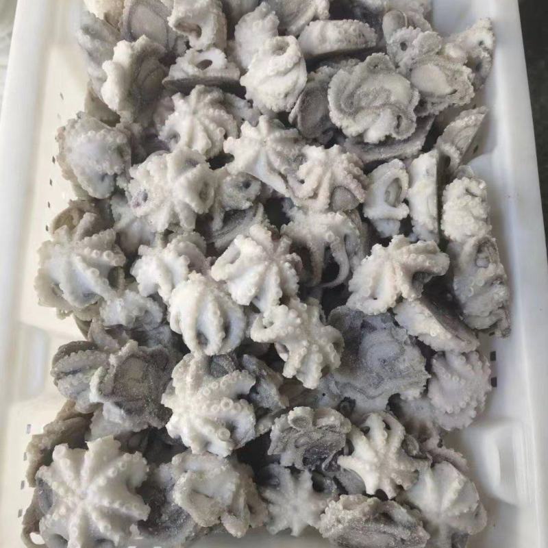 八爪鱼，盐磨八爪鱼，品质保证，价格便宜，干冰货，货源充足