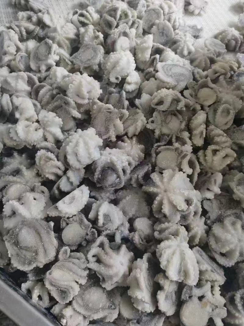 八爪鱼，盐磨八爪鱼，品质保证，价格便宜，干冰货，货源充足