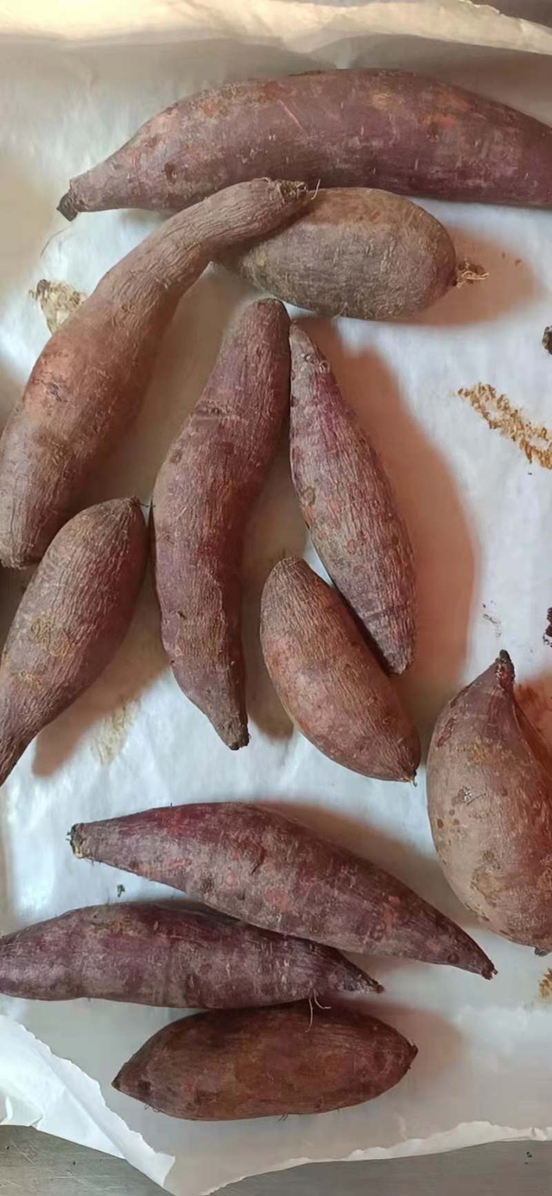 一点红