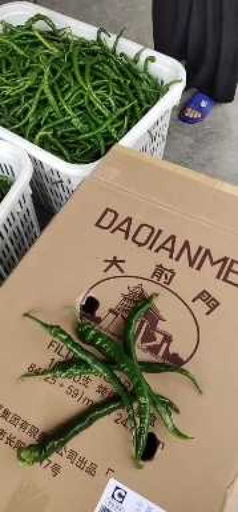湖南湘西旺丰螺丝椒，基地大量直供，日产过万斤，走车价1元