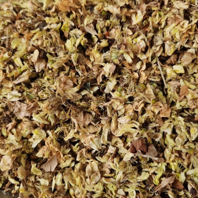 野生干洋槐花炒鸡蛋包饺子干货清香大量优质