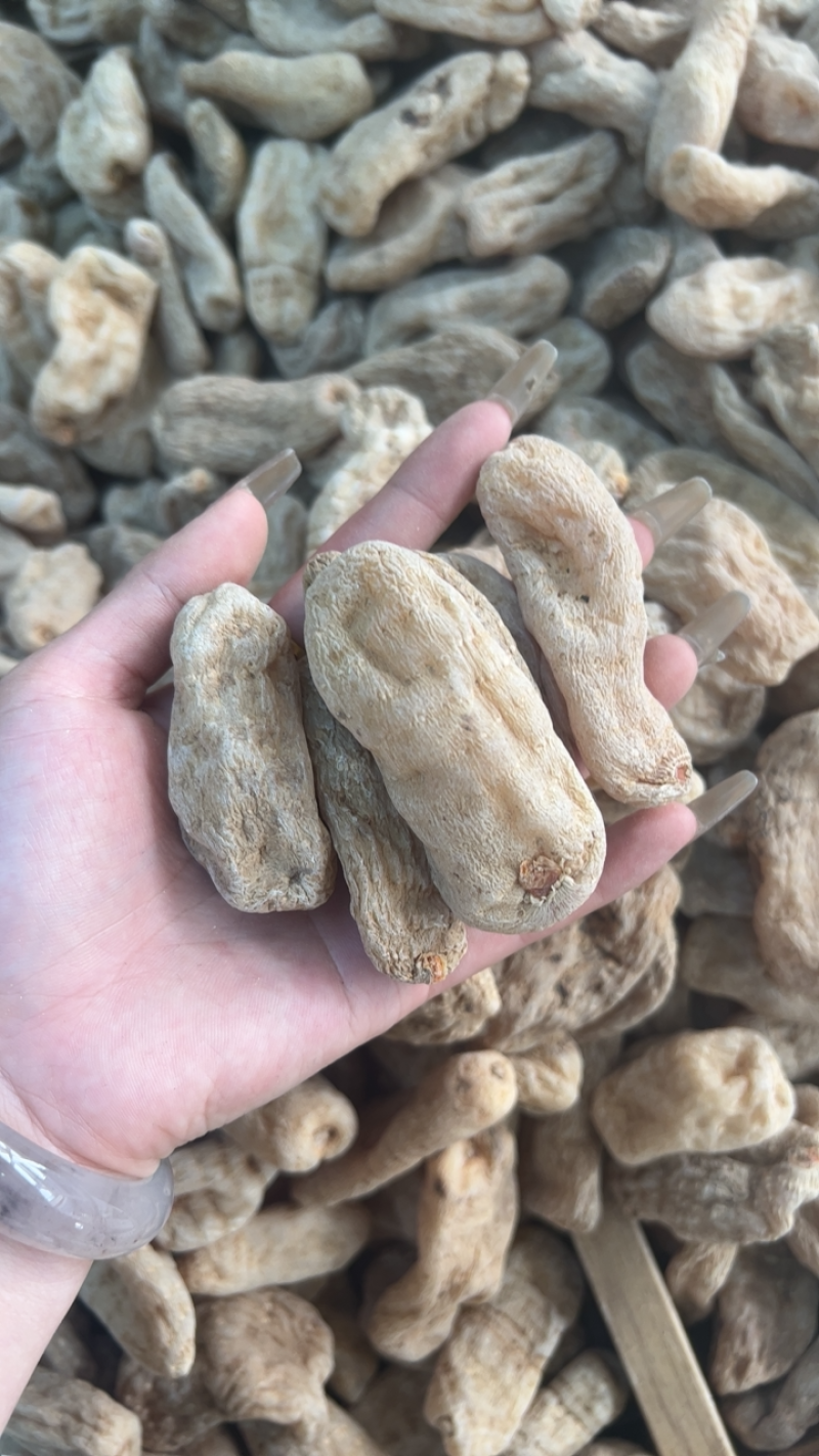 正宗昭通小草坝天麻