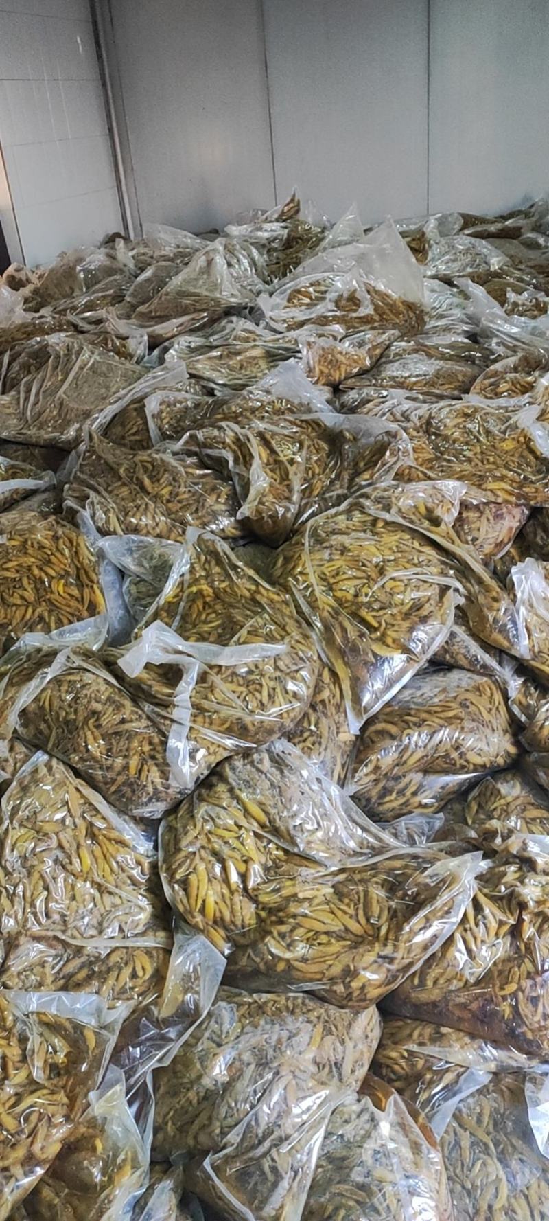 美人椒泡菜辣椒