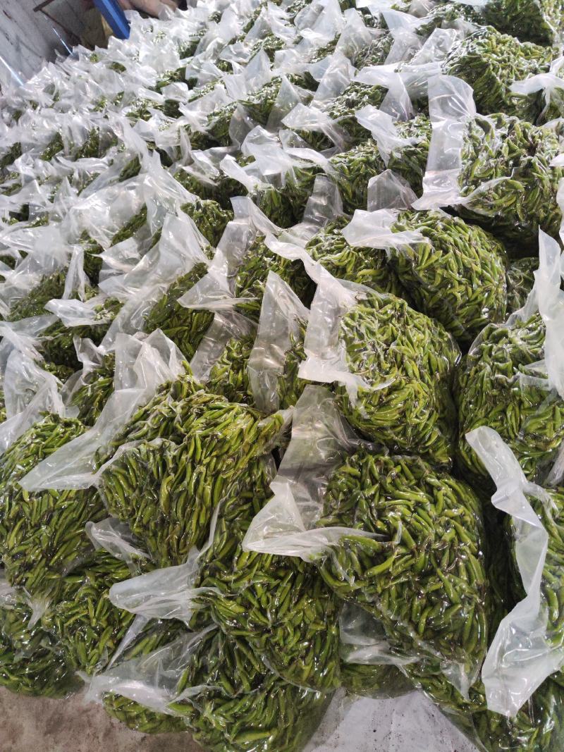 美人椒泡菜辣椒