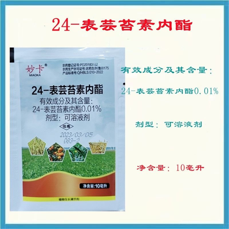 24表芸苔素内酯水稻小麦蔬菜调节生长增产保花保果解药害