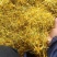 金银花。正宗野生金银花直供，无霉，无杂质，无硫。