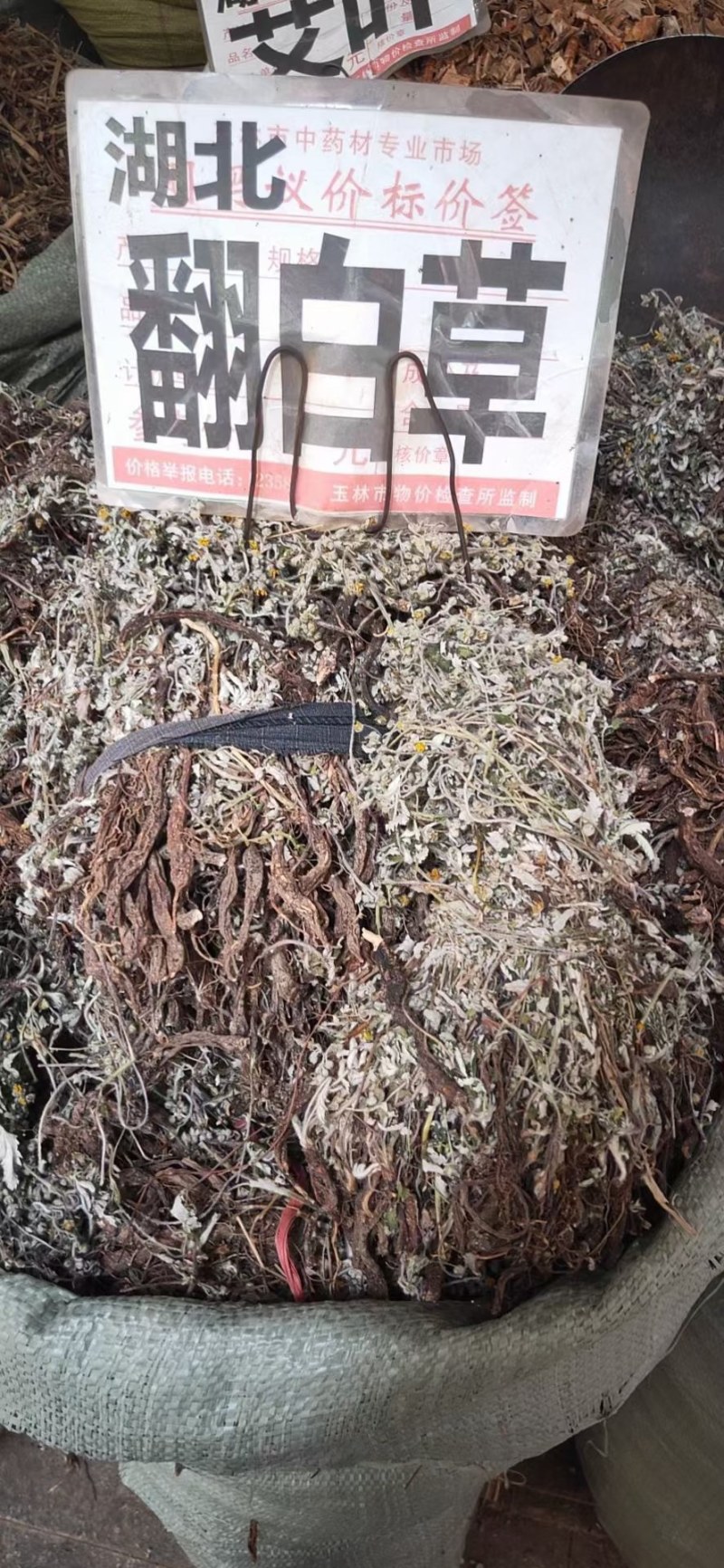 翻白草