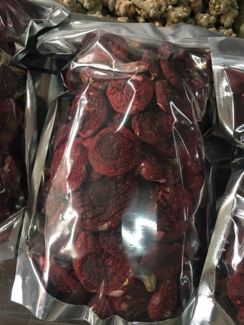 云南红菇大量供应对接同行产地优势有量有价品质保证