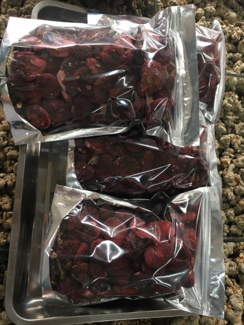 云南红菇大量供应对接同行产地优势有量有价品质保证