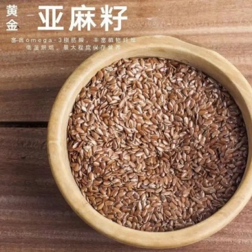 金色亚麻籽高油厂家现货批发欢迎来电咨询