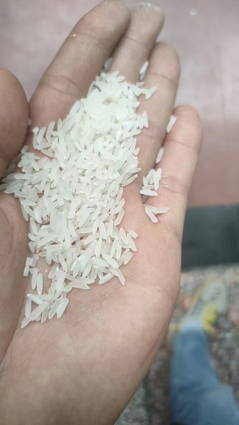 精品长粒香大米金龙鱼大米米厂供应量大从优