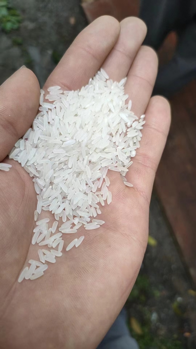精品长粒香大米金龙鱼大米米厂供应量大从优