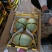 晓蜜25，网纹，脆甜多汁，货源充足，保质保量，产地直供