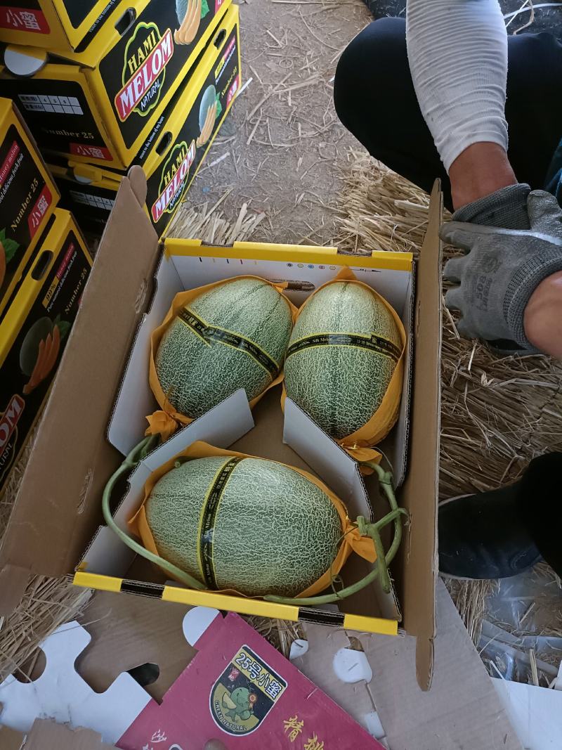 晓蜜25，网纹，脆甜多汁，货源充足，保质保量，产地直供