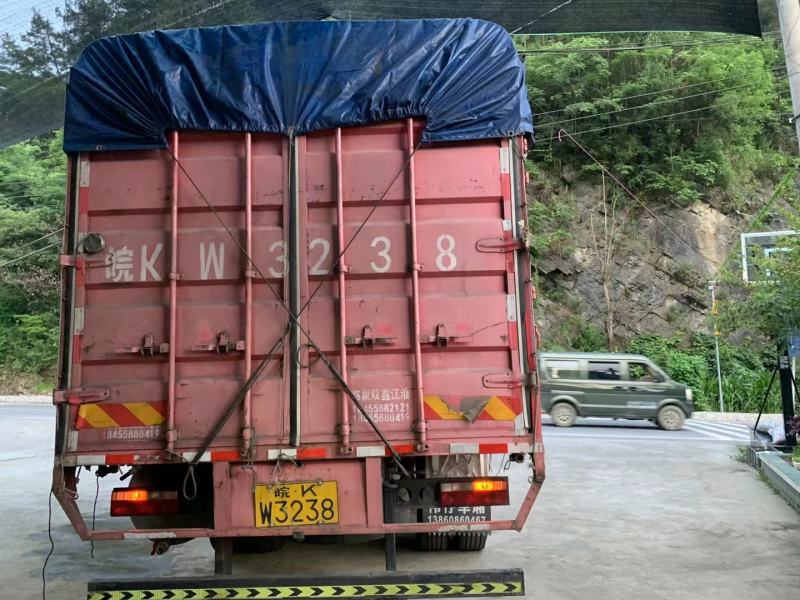 黄线椒湖北鲜辣椒现在大量上市欢迎各位老板电联下单