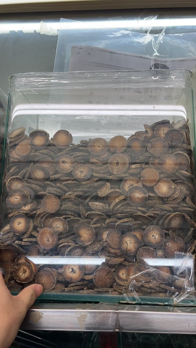 正毛化橘红胎果片齐全