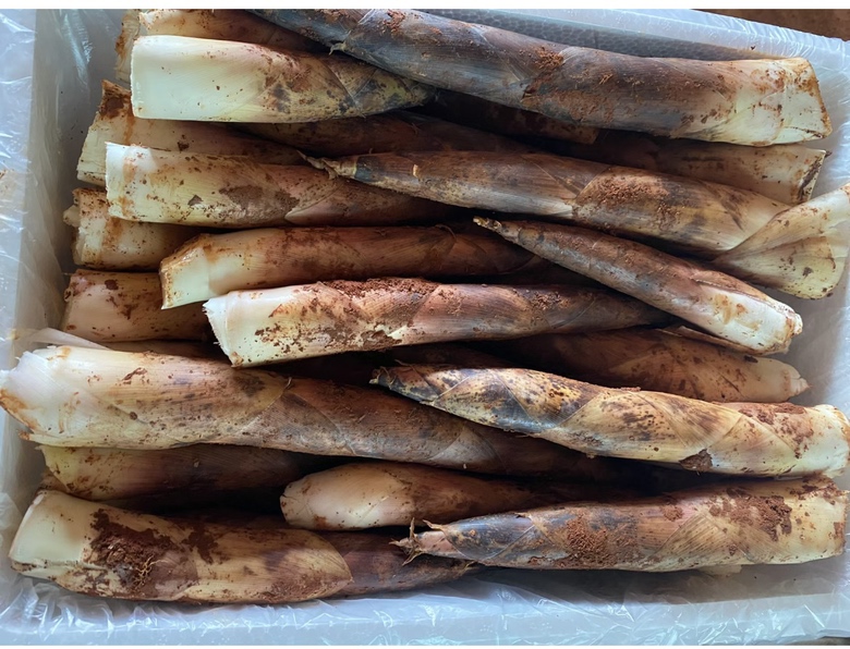 竹笋烹饪成品图