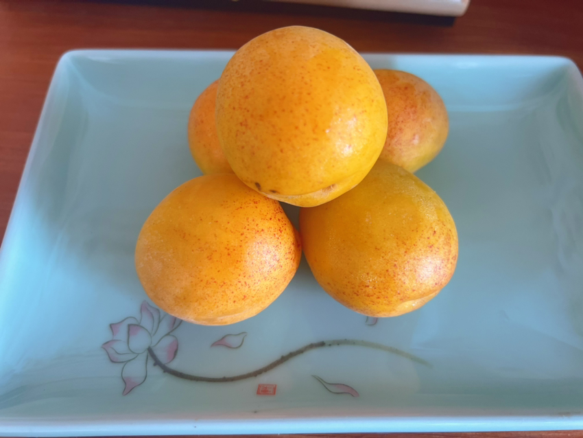 杏子与苹果、蓝莓等水果摆放在果盘中,色彩丰富,营养均衡 杏子与其他水果搭配图