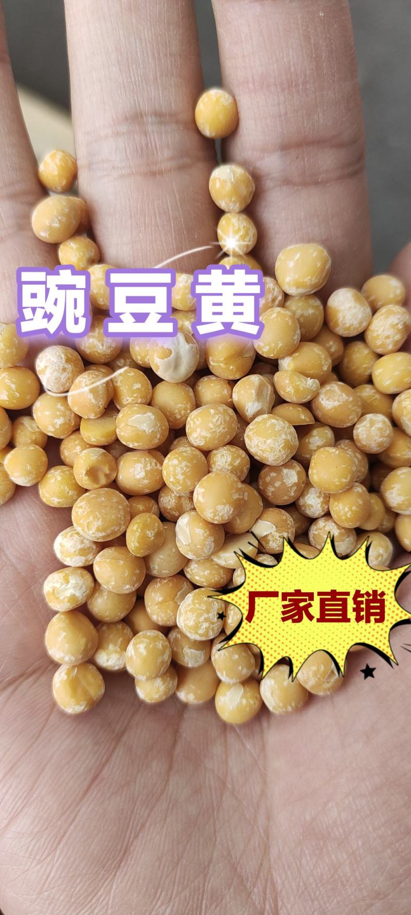 豌豆黄豌豆仁豌豆米脱皮豌豆仁厂家直销一手货源
