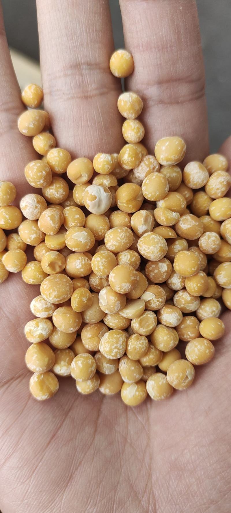 豌豆黄豌豆仁豌豆米脱皮豌豆仁厂家直销一手货源