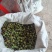 新鲜草莲子