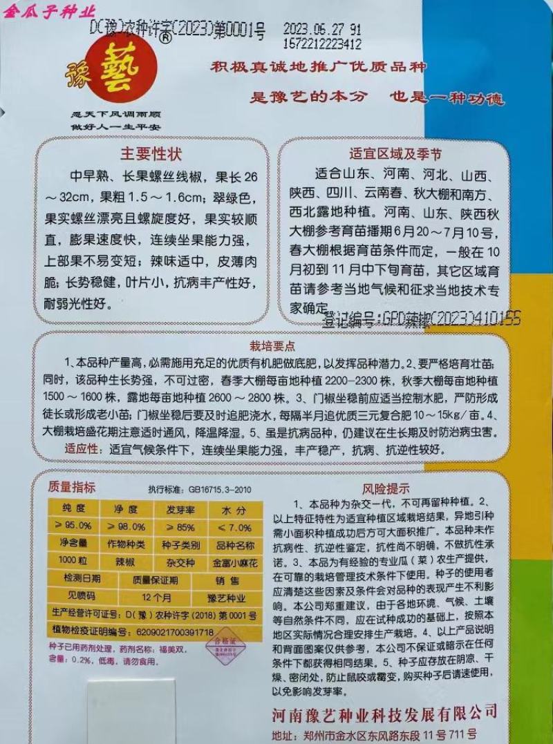 金富小麻花螺丝椒全螺翠绿色抗病耐弱光不变短旋度好