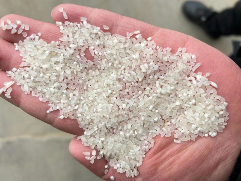 碎米可酿酒大量供应欢迎联系
