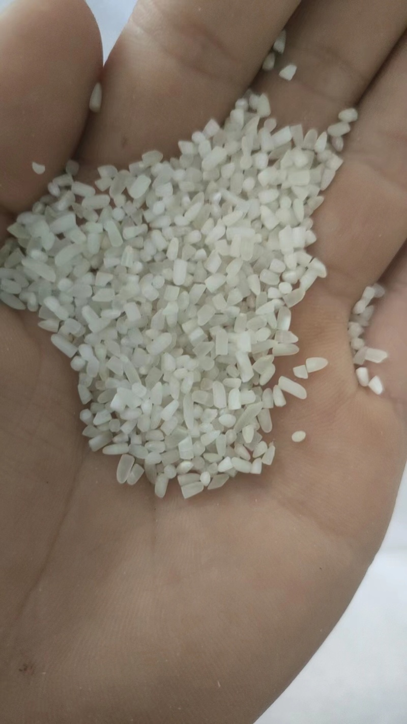 碎米可酿酒大量供应欢迎联系