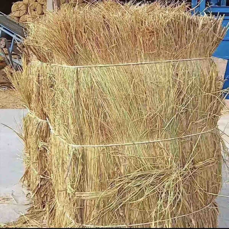 稻草货源充足大吨位供应欢迎来电