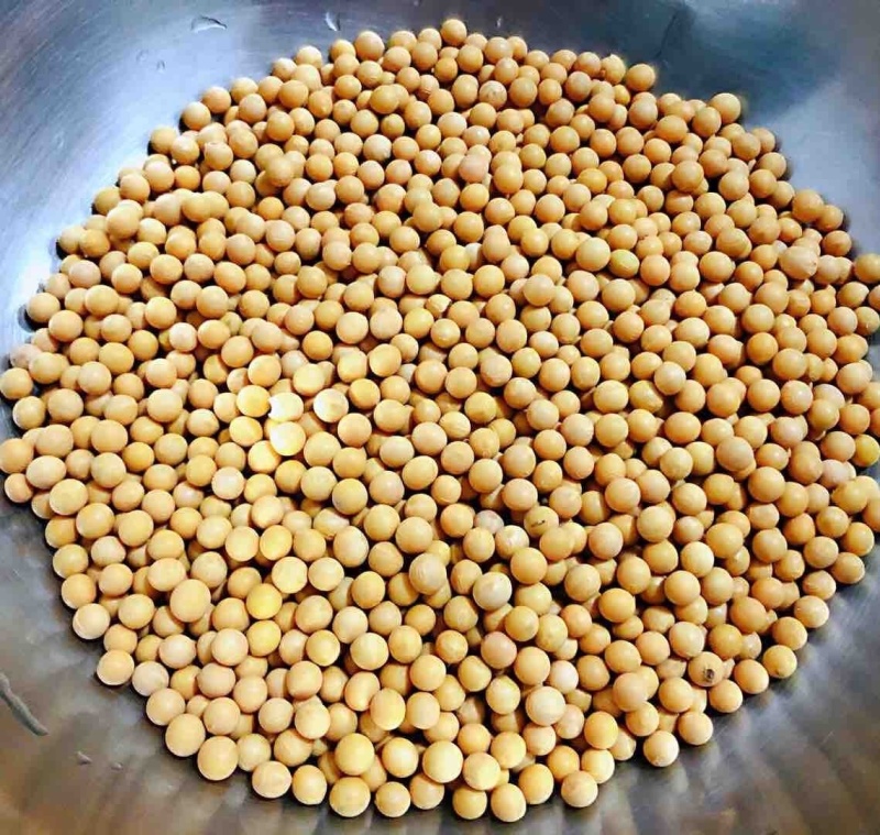 黄豆颗粒饱满货源充足欢迎来电咨询