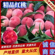 威县突围桃大量上市，囗感好，硬度好，欢迎广大客商前来采购！