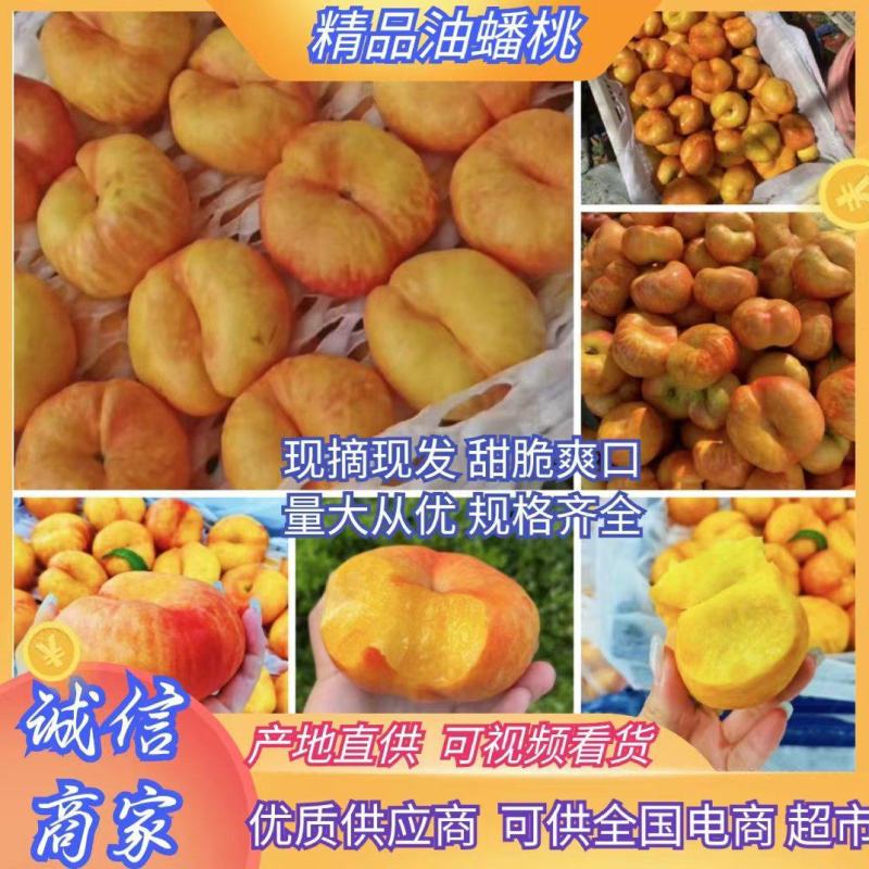 油蟠桃大量上市品质好，口感好欢迎广大客商前来釆购！