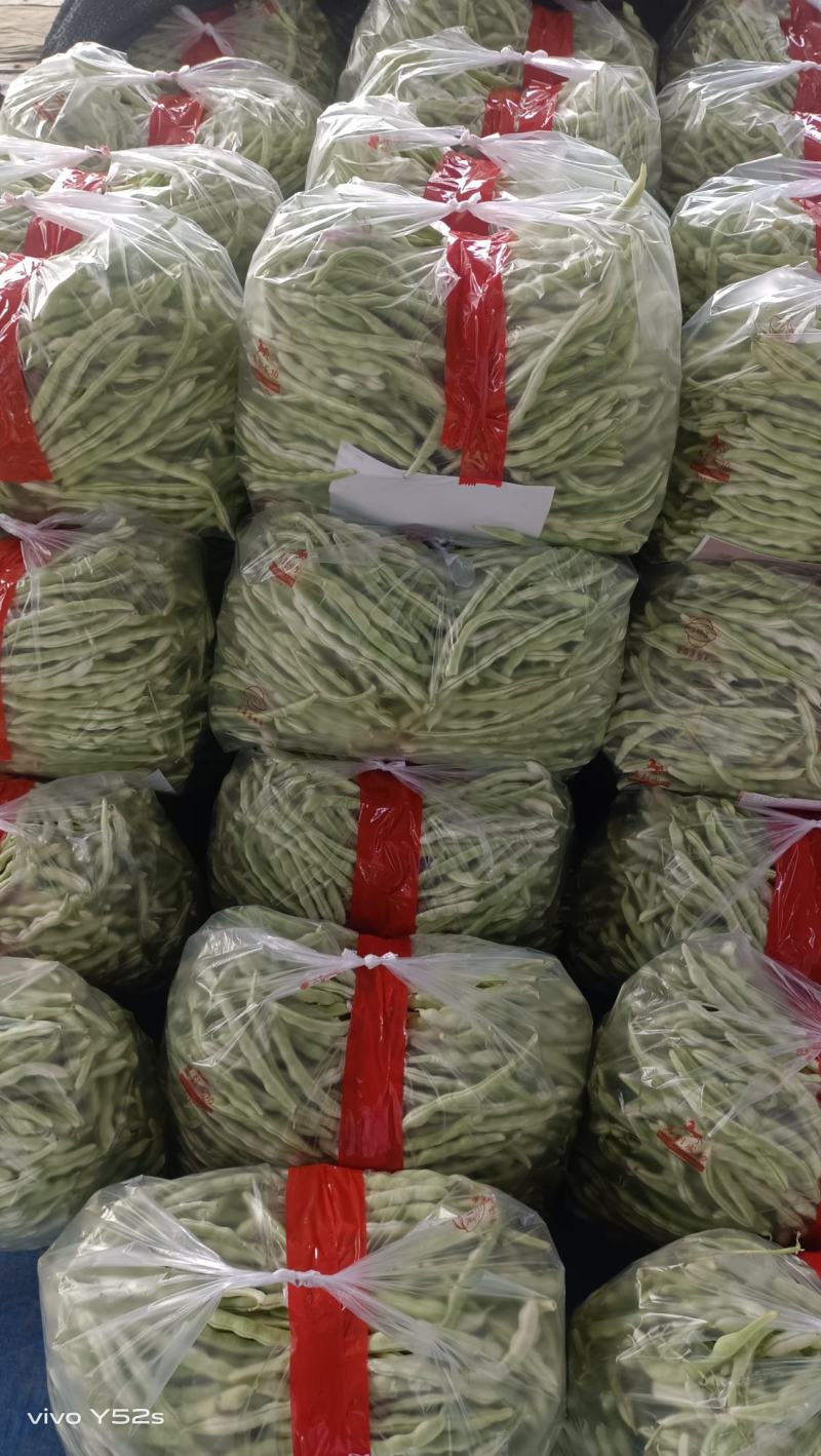 白条豆角20厘米以上