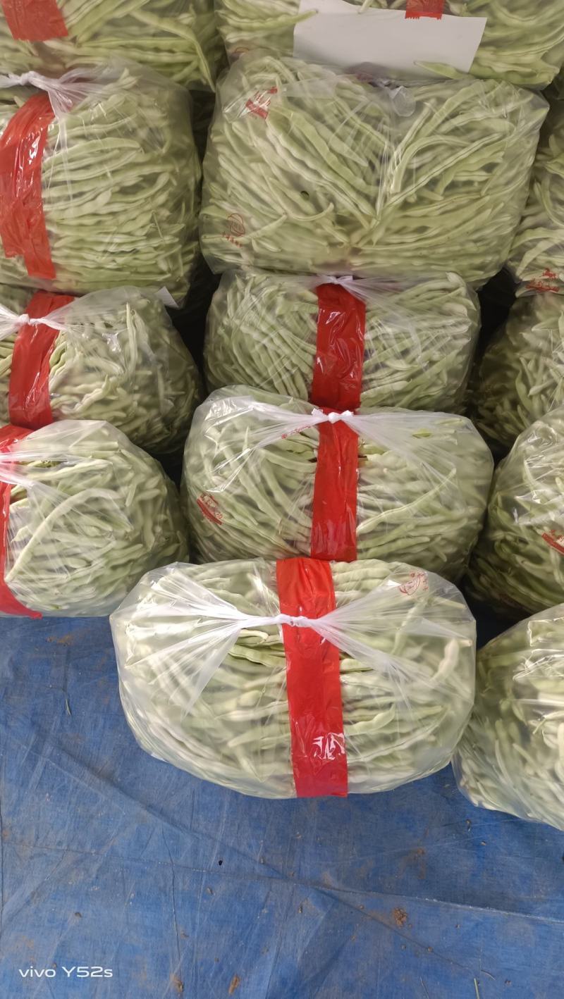 白条豆角20厘米以上