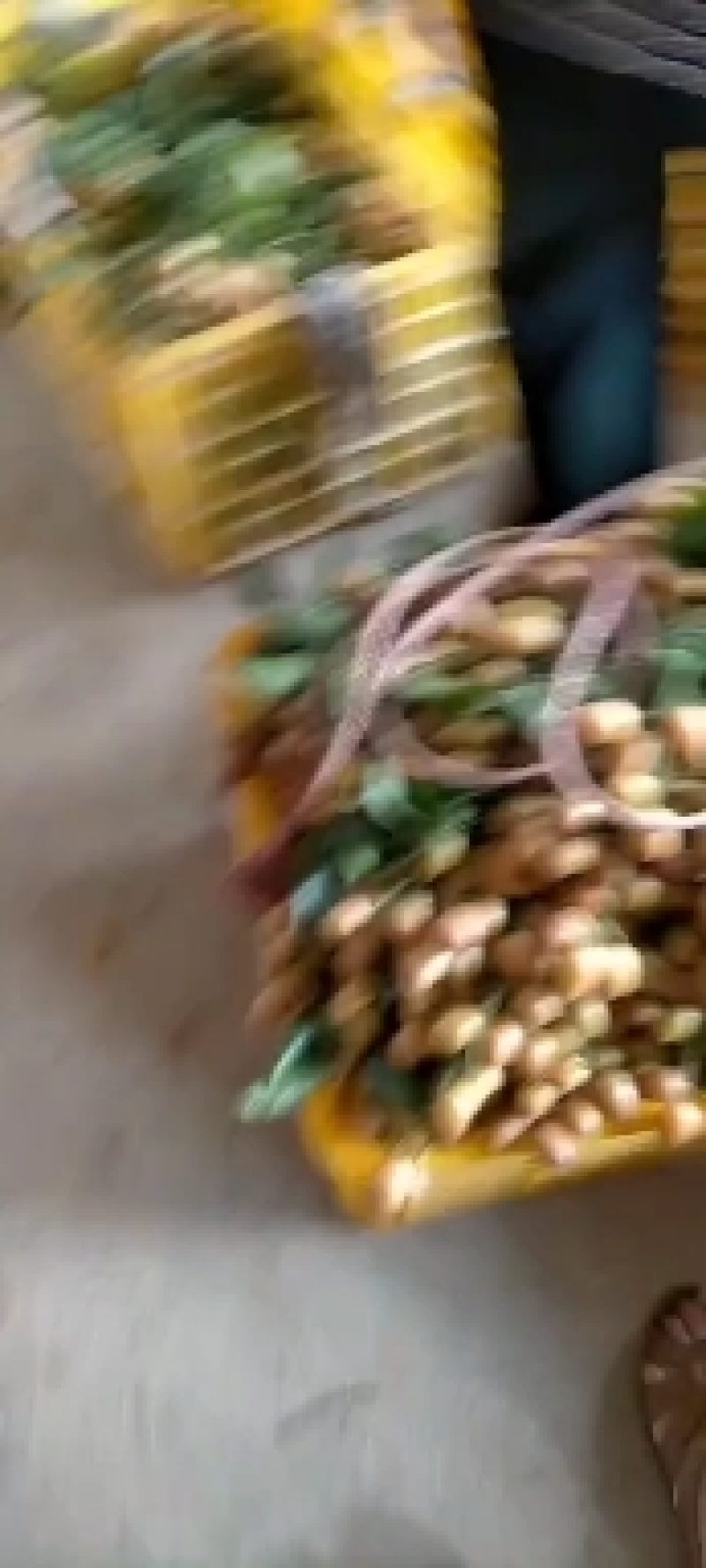 广西贵港市平南县丹竹镇黄皮大量上市