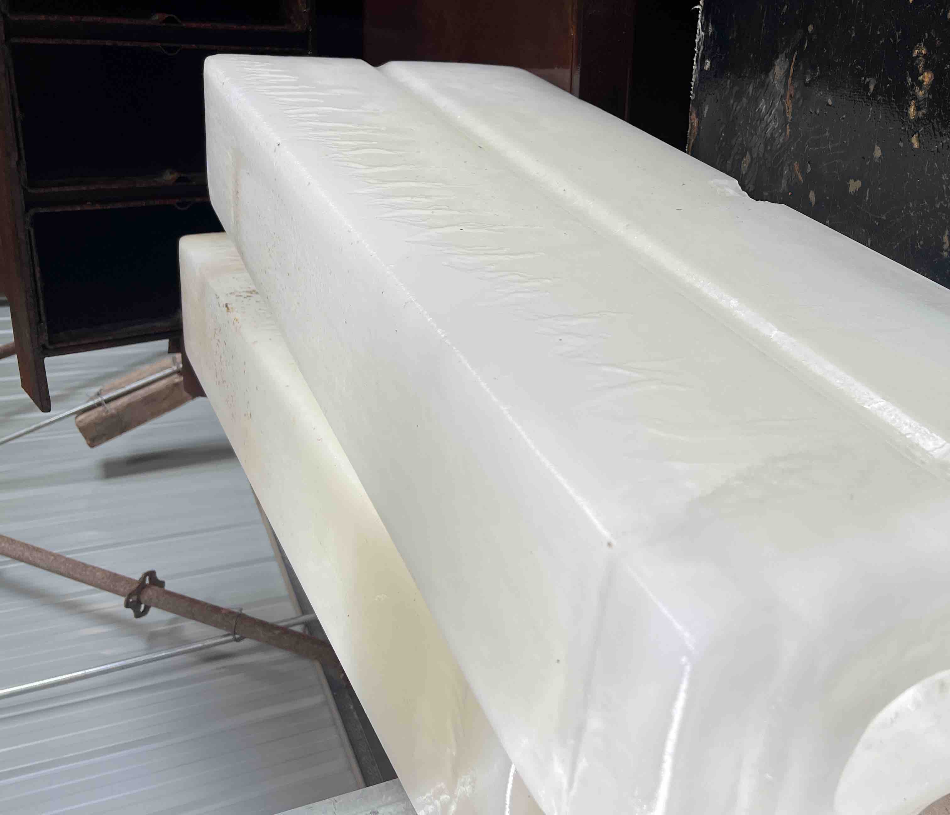 香菜根水培中期生长状态图