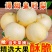 山东皇冠梨大量上市，可出口，超市批发市场电商团购一件代发