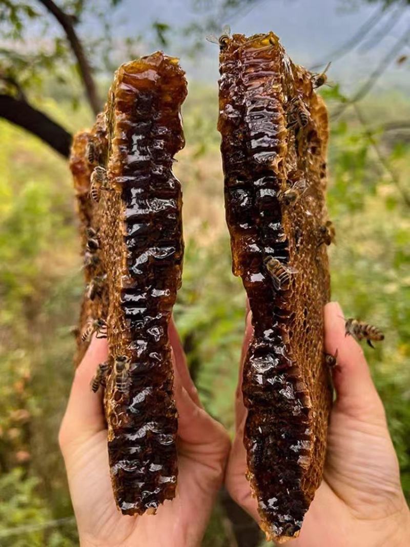 蜂蜜正宗纯正天然野生土蜂蜜自然成熟百花蜂农家自产蜂场直发