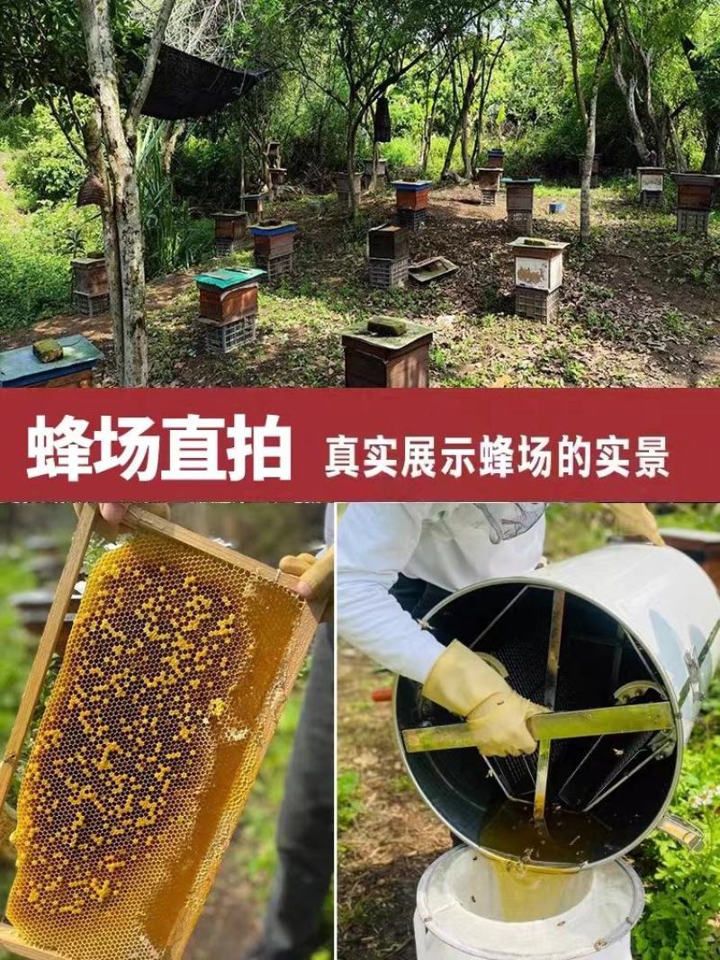 蜂蜜正宗纯正天然野生土蜂蜜自然成熟百花蜂农家自产蜂场直发