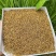 高山花香红茶浓郁花香批发产地发货量大优惠