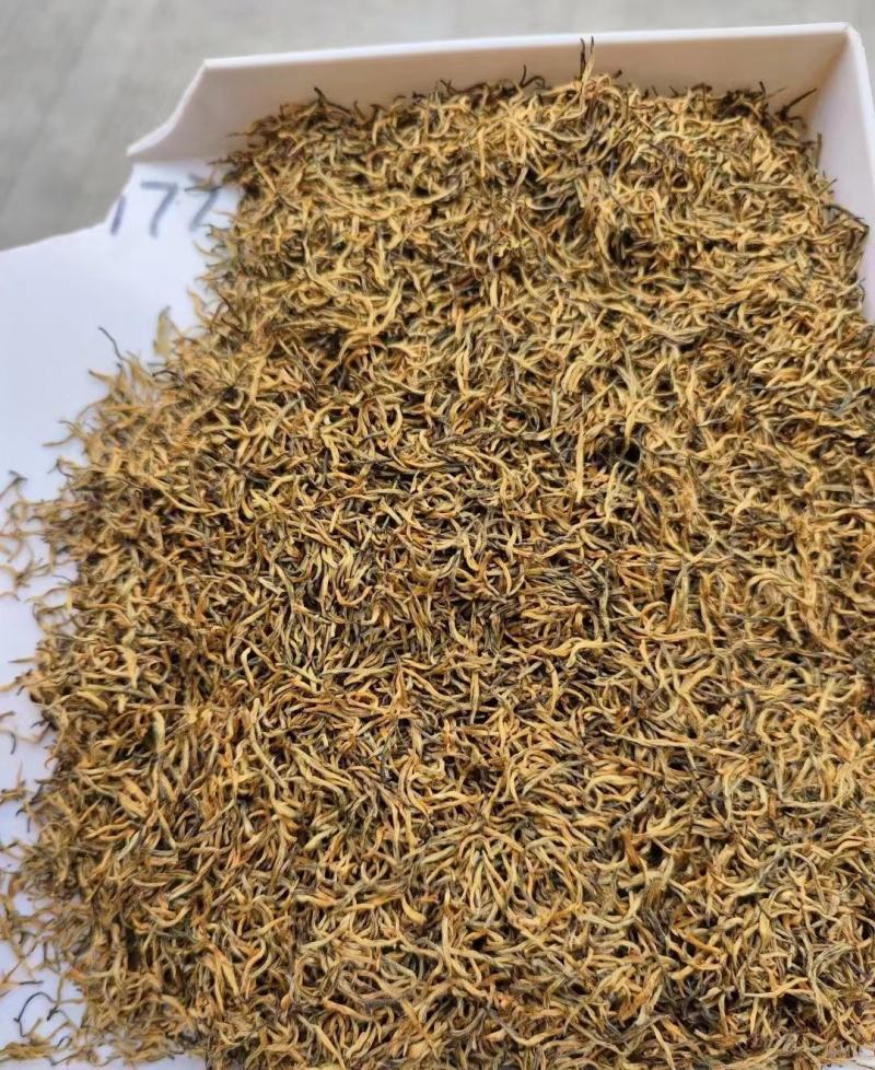 高山花香红茶浓郁花香批发产地发货量大优惠