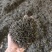 高山花香红茶浓郁花香批发产地发货量大优惠