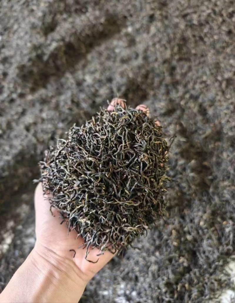 高山花香红茶浓郁花香批发产地发货量大优惠