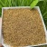 高山花香红茶浓郁花香批发产地发货量大优惠